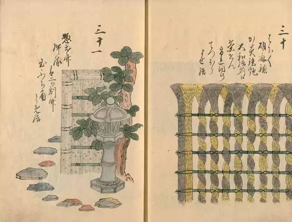 曾闻古德有深言，秋晚东林落木疏打一准确生肖，详细解答、实证解答解释落实