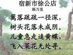 曾闻古德有深言，秋晚东林落木疏打一准确生肖，详细解答、实证解答解释落实